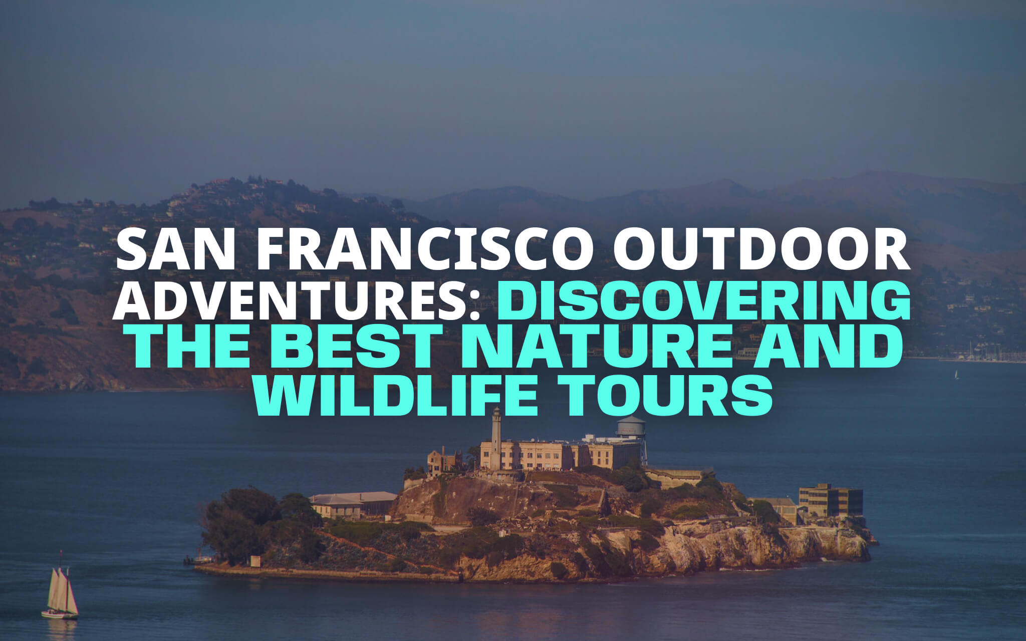 wildlife tours san francisco