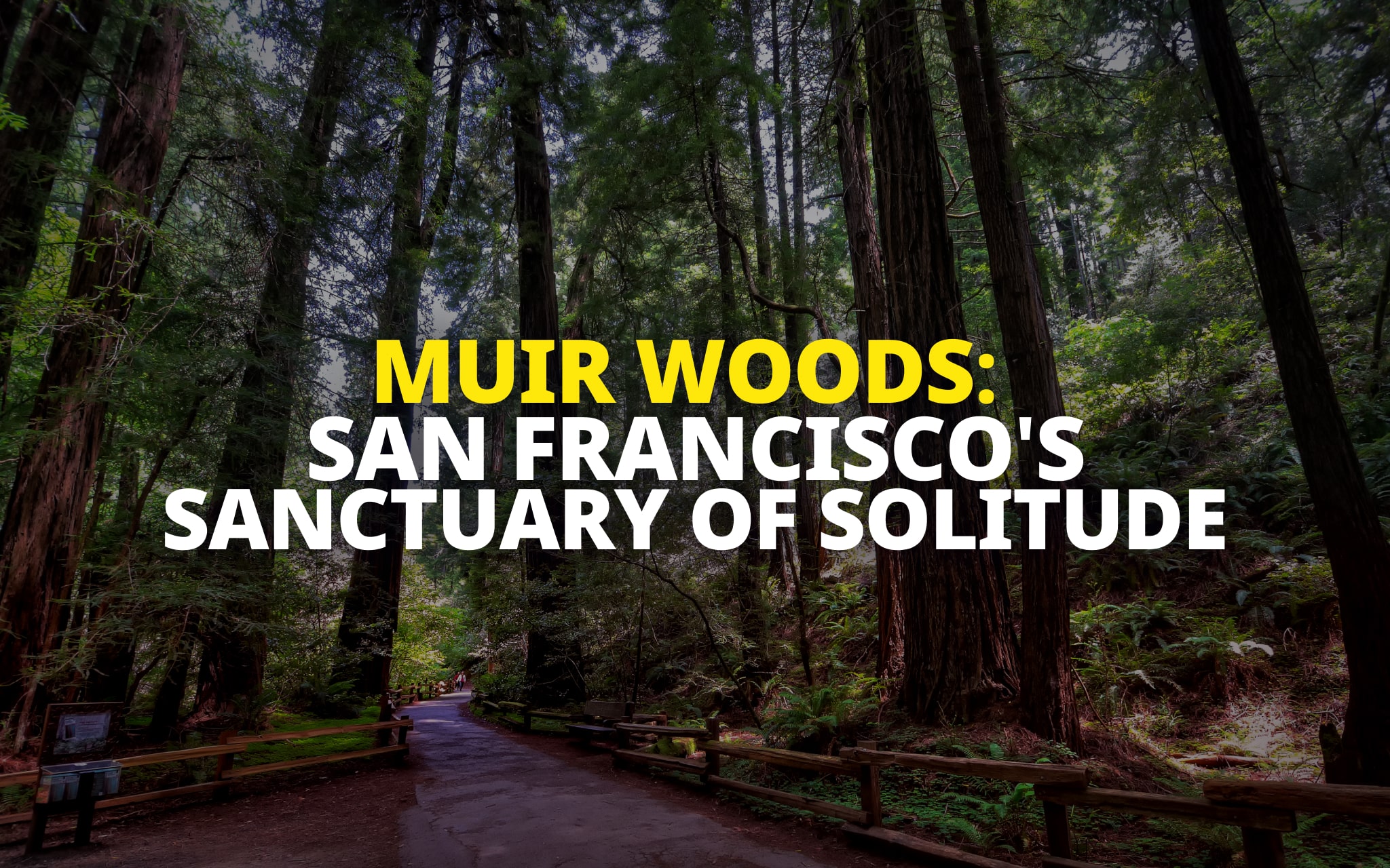 Muir Woods