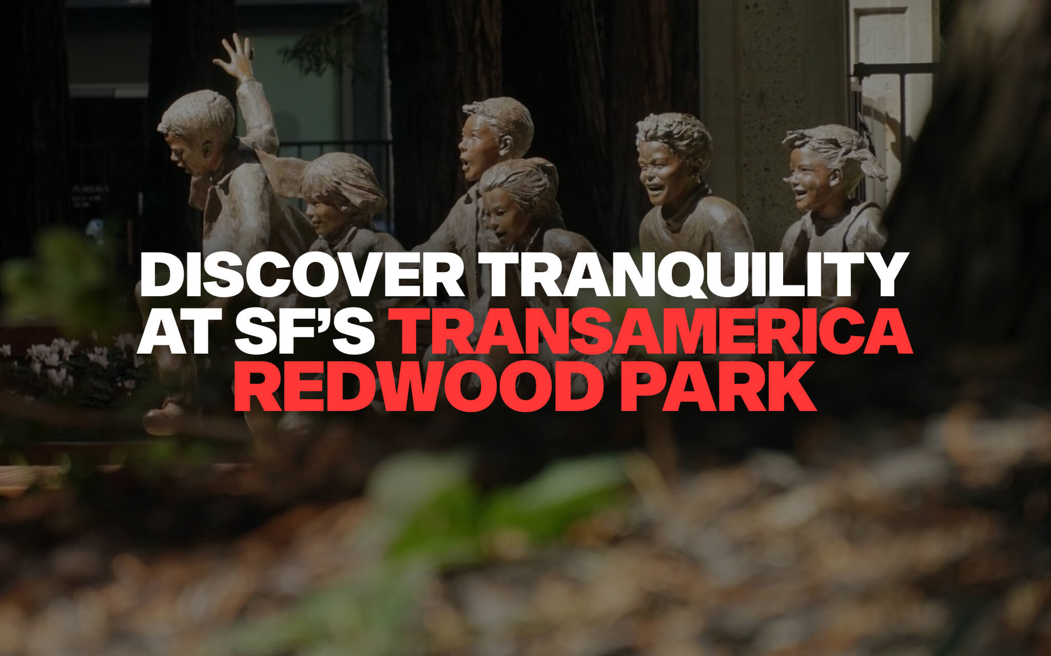 Transamerica Redwood Park