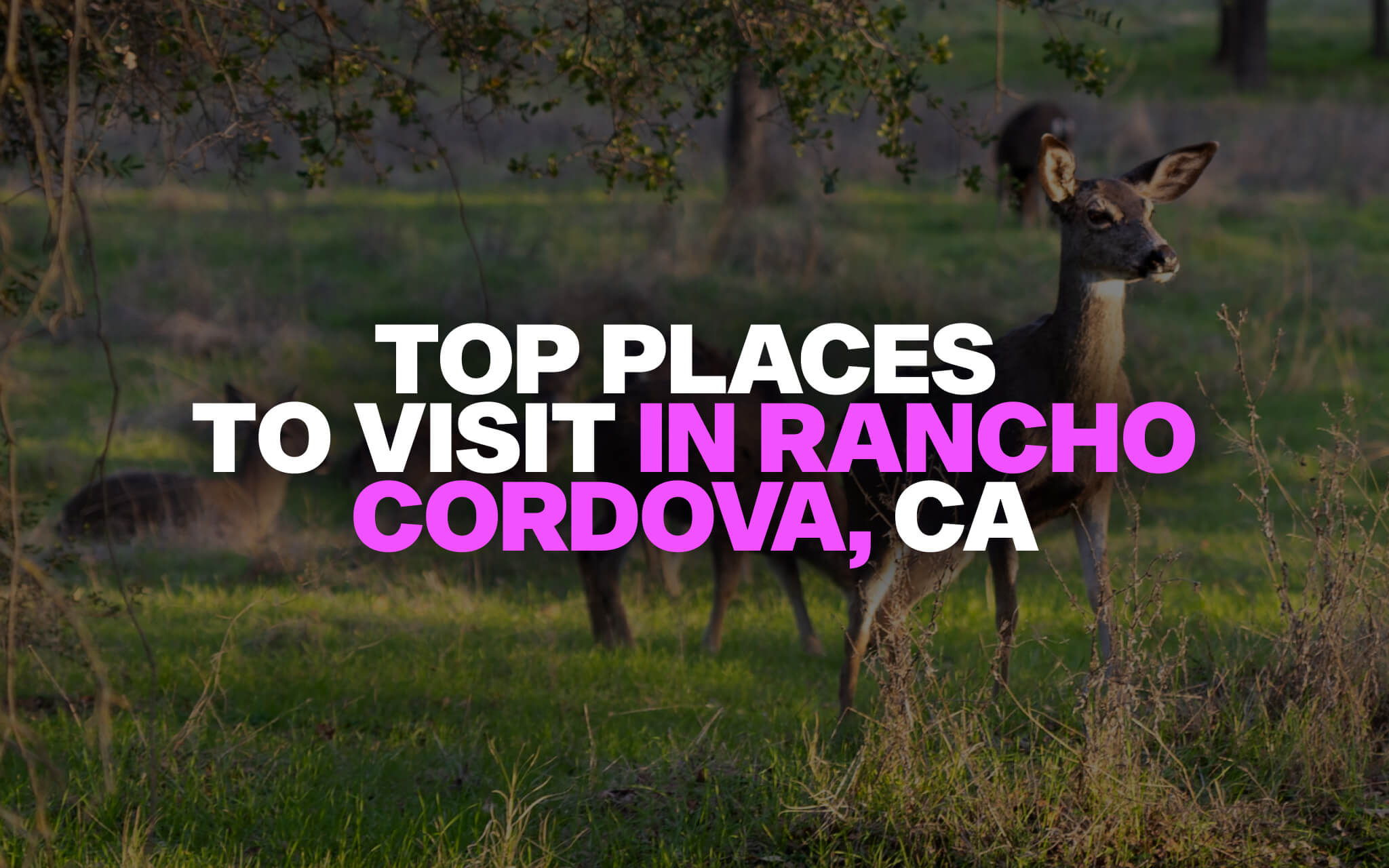 Rancho Cordova