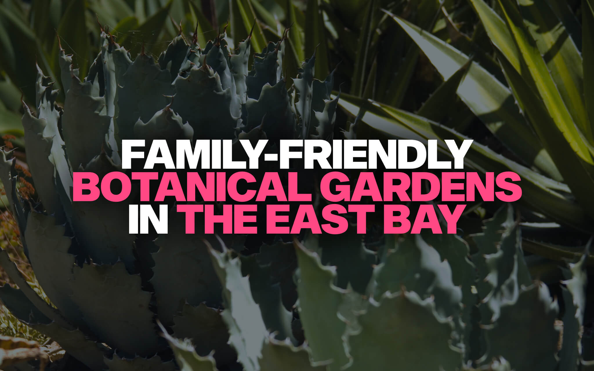 Botanical Gardens in the East Bay