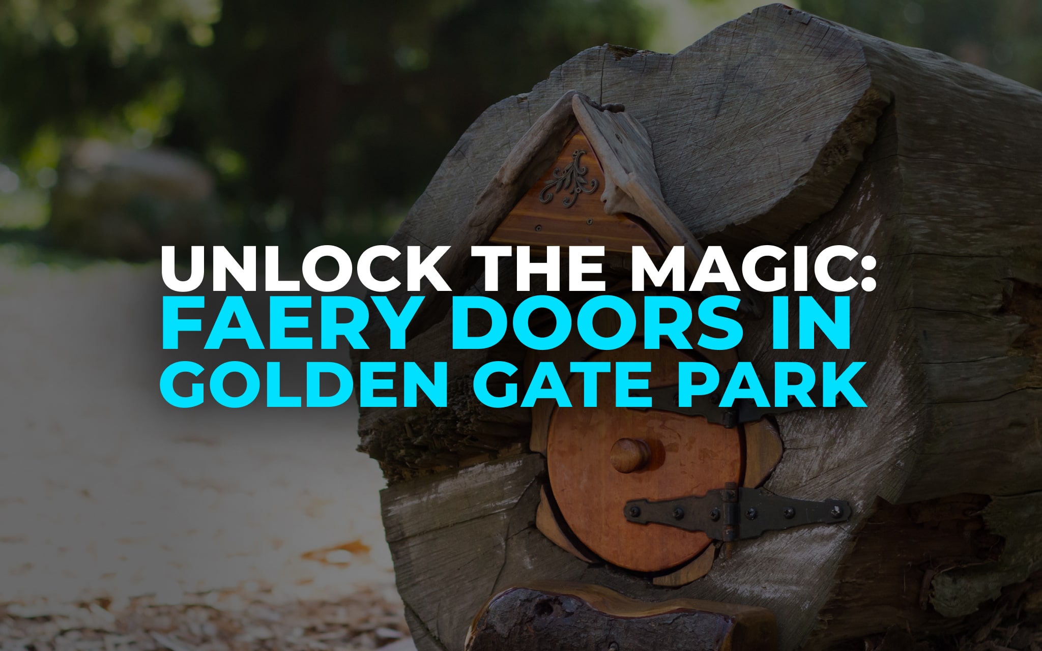 Faery Doors