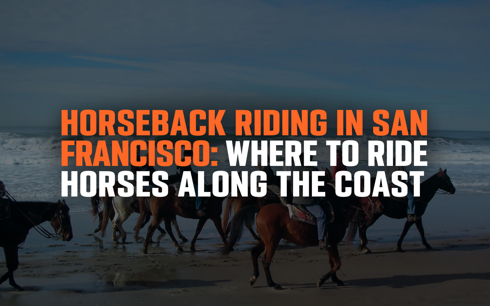 horseback ride