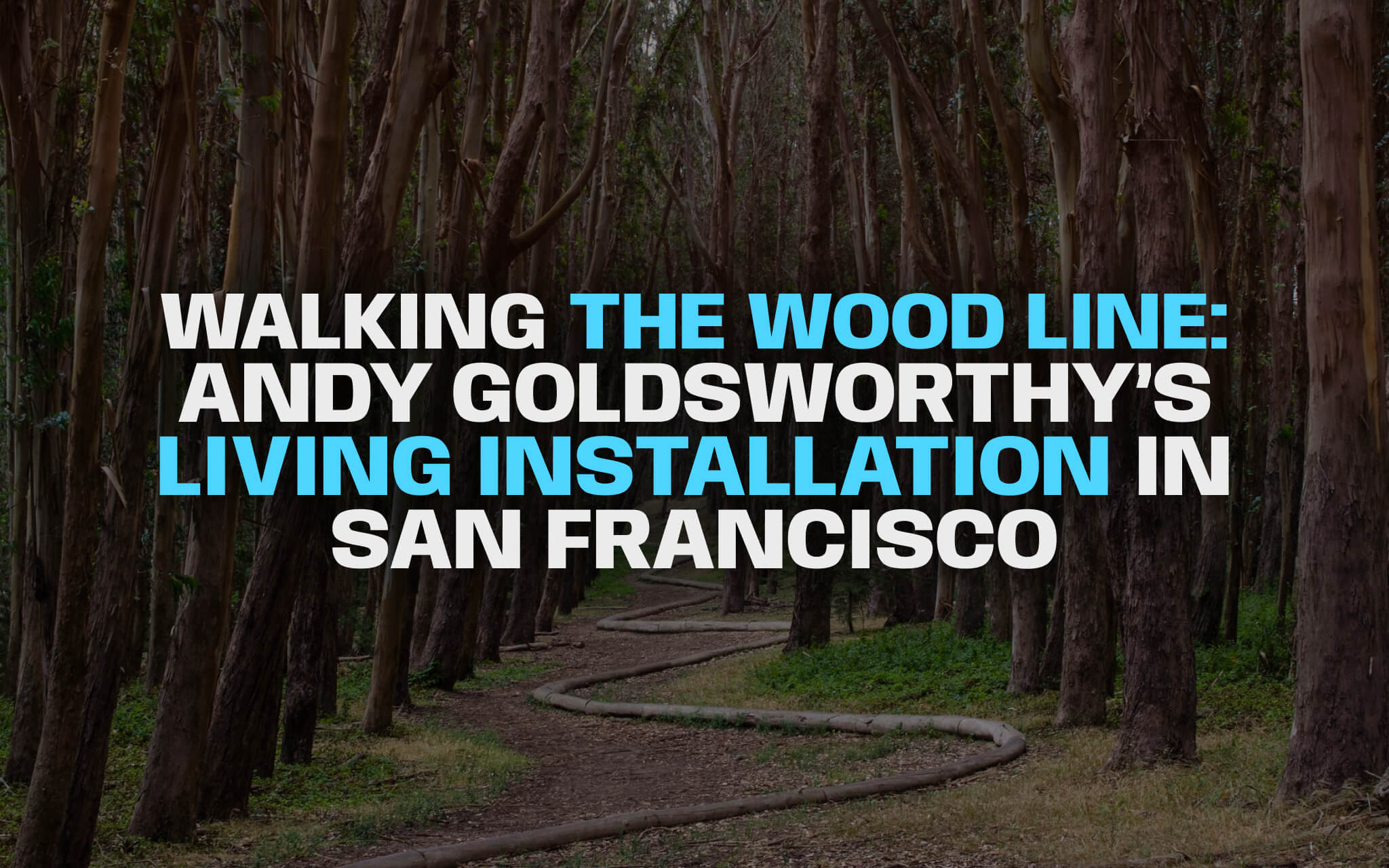 Wood Line