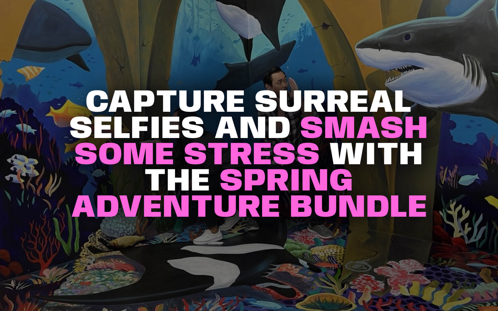 Spring Adventure