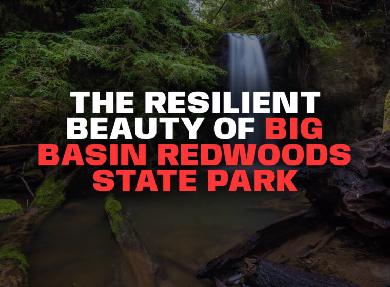Redwoods State Park