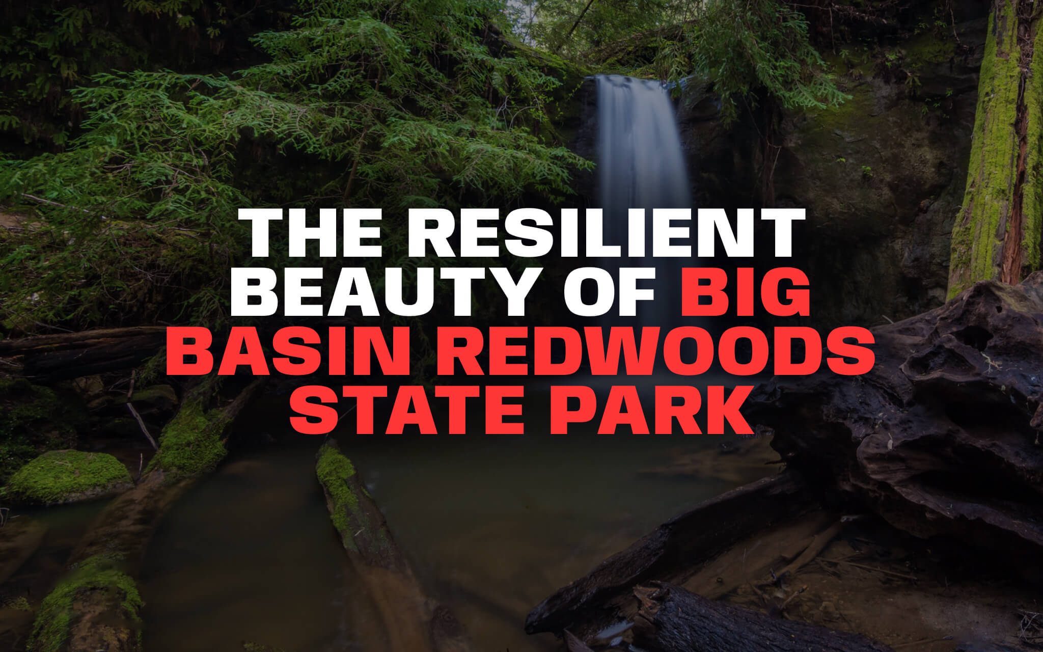 Redwoods State Park