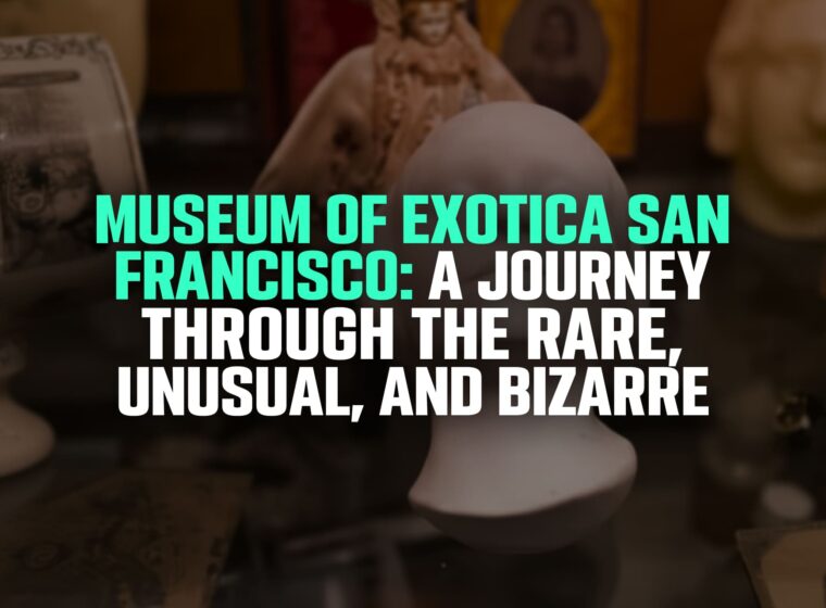Museum of Exotica