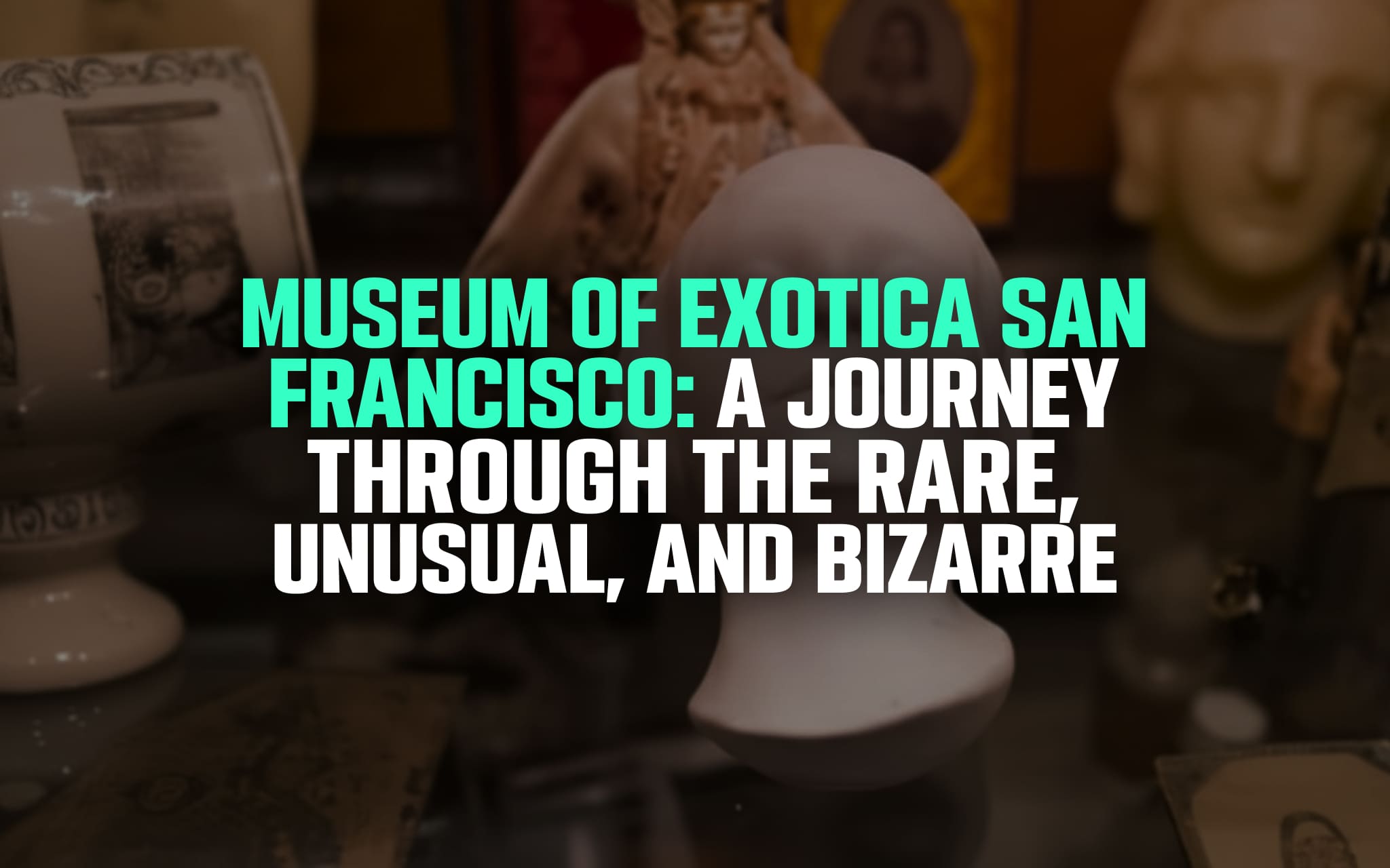 Museum of Exotica