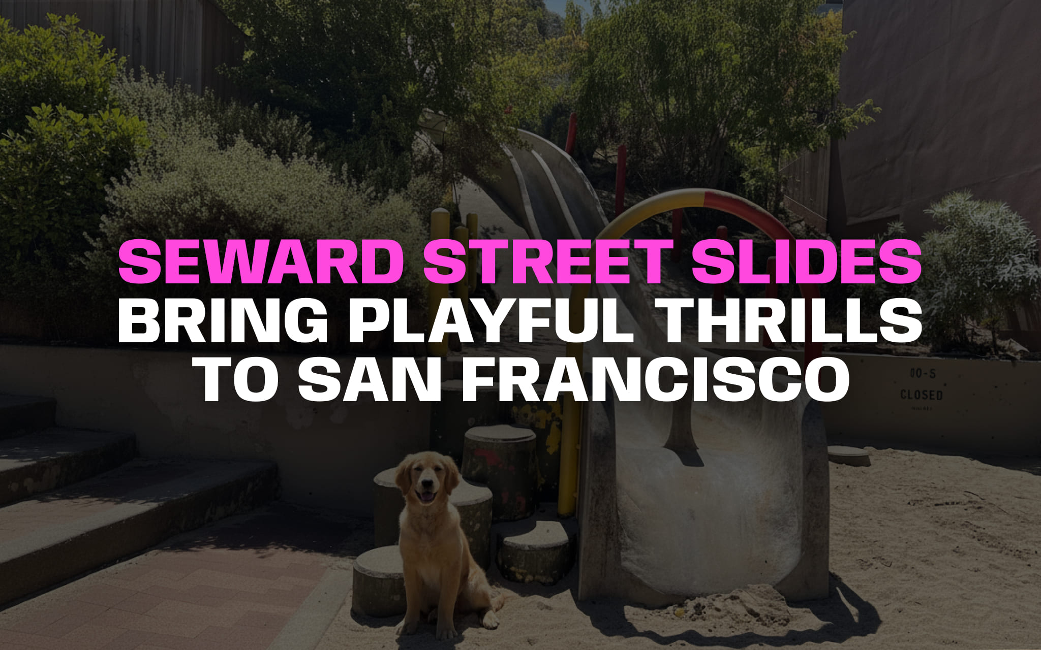 Seward Street Slides